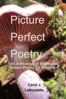 Picture Perfect Poetry