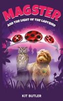 Magster and the Light of the Ladybird