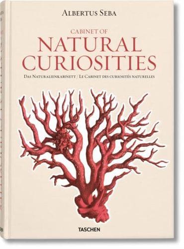 Albertus Seba, Cabinet of Natural Curiosities by Irmgard Musch, Albertus... - Zdjęcie 1 z 1